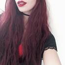 SelvaggiaFox SelvaggiaFox