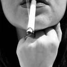 LucilleCurvy LucilleCurvy