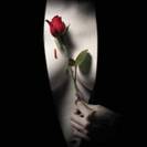 Perla_noir Perla_noir