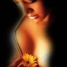 dolce-evasione dolce-evasione