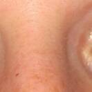 hotchily81 hotchily81