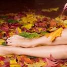 Lekkalecca Lekkalecca